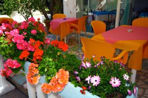 hotel park calitto