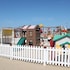 cattolica
