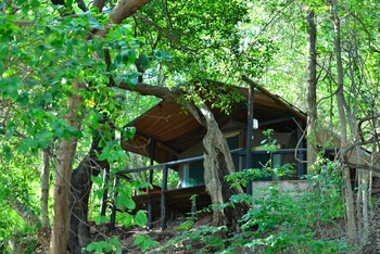 kasika