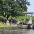 ichingo chobe river lodge