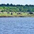 ichingo chobe river lodge