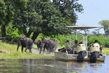 ichingo chobe river lodge