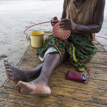 ichingo chobe river lodge
