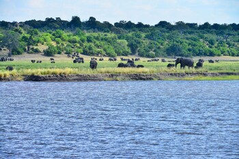 ichingo chobe river lodge