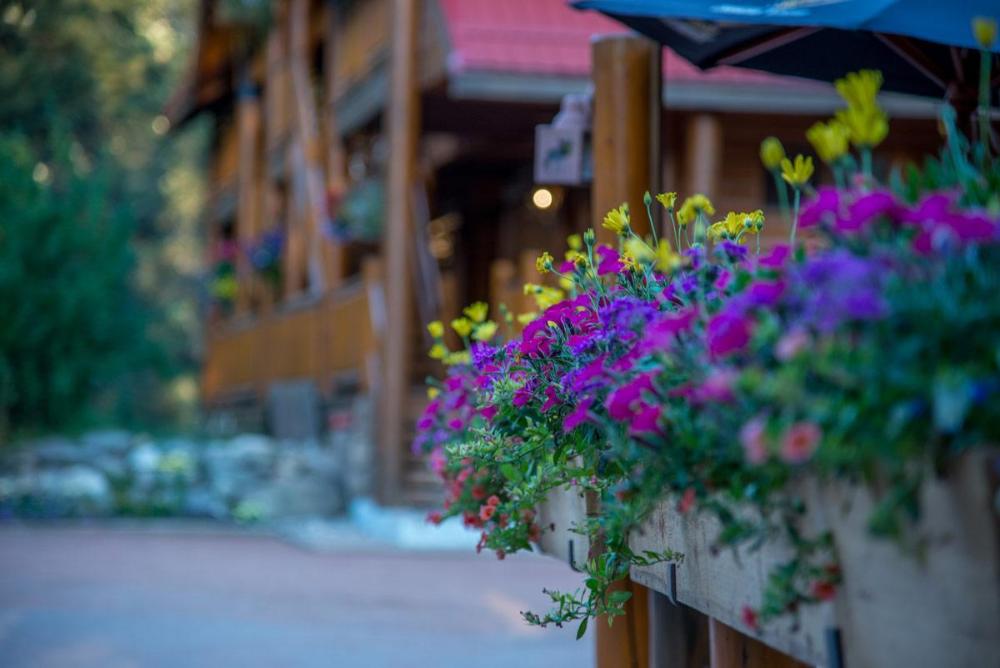 baker creek by basecamp