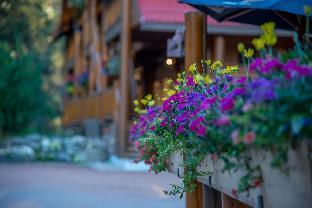 baker creek by basecamp