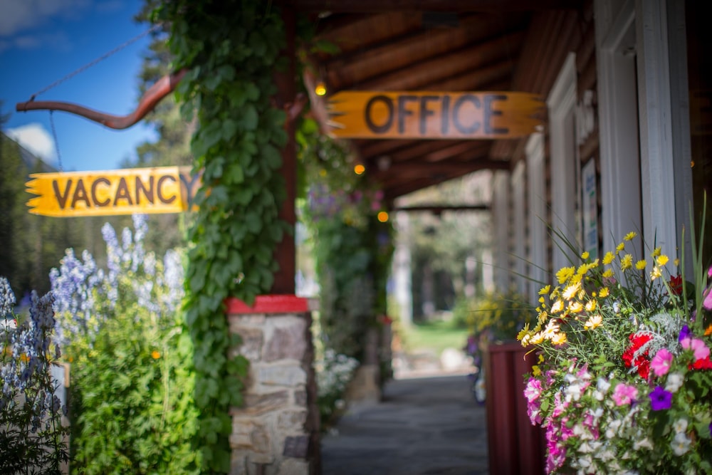 paradise lodge and bungalows