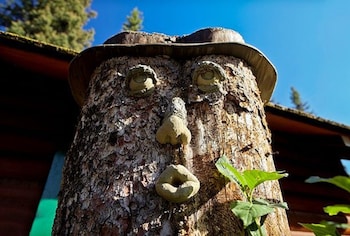 paradise lodge and bungalows