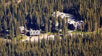 paradise lodge and bungalows