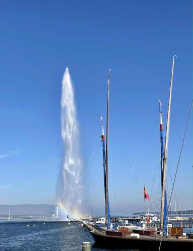 adriatica geneva