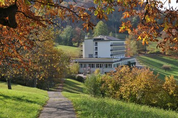 bad ramsach quellhotel