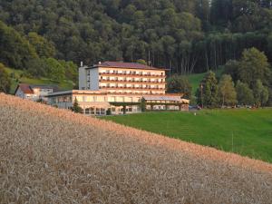 bad ramsach quellhotel