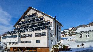wildhaus alt st johann