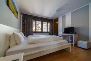 wildhaus alt st johann