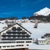 wildhaus alt st johann