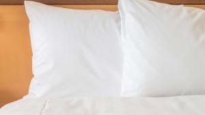 sonesta simply suites philadelphia mount laurel