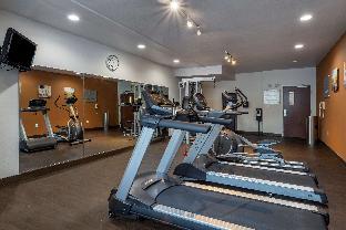 comfort suites natchitoches