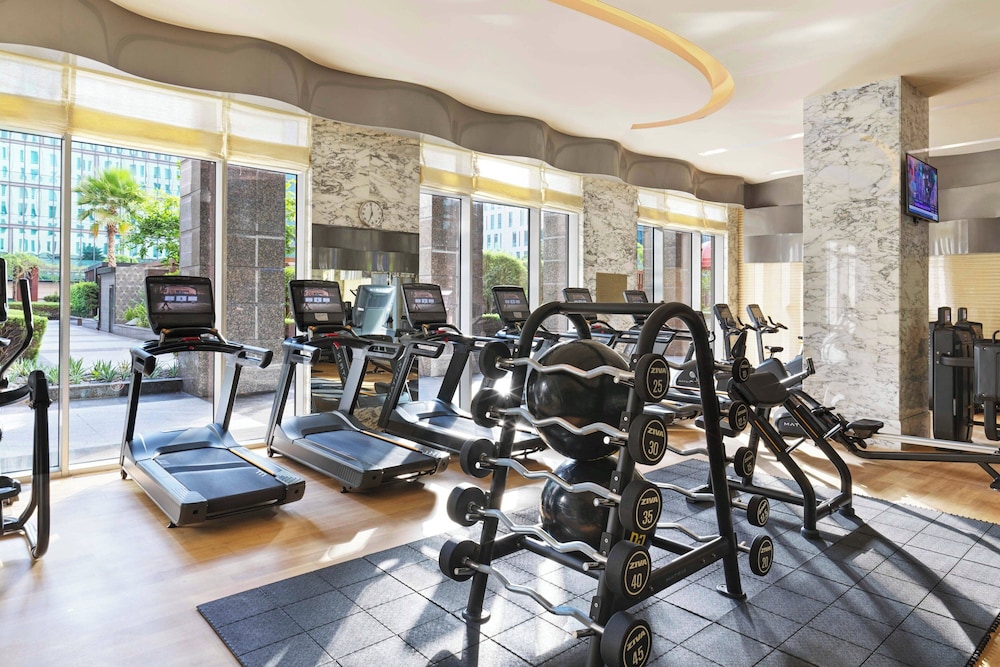 the ritz carlton dubai international financial centre