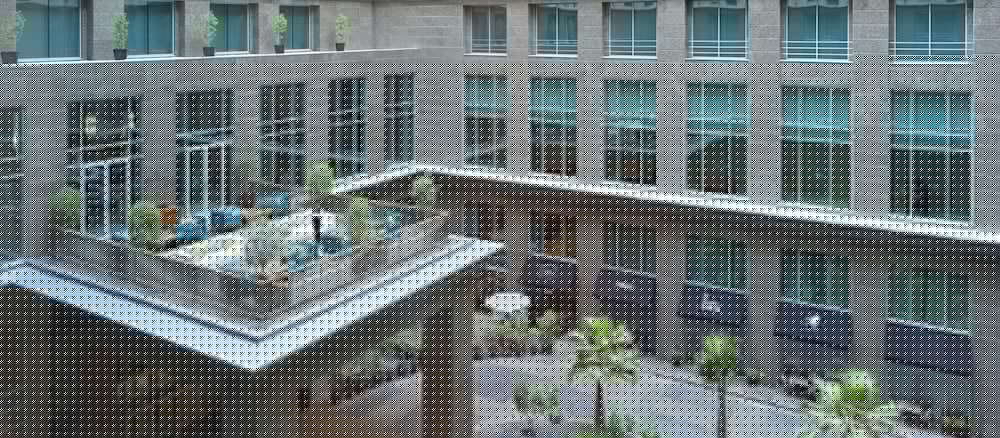 the ritz carlton dubai international financial centre