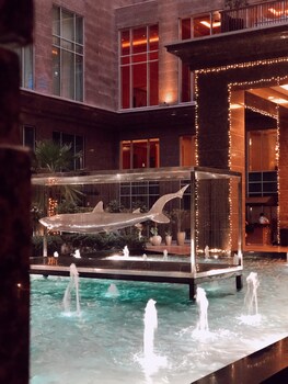 the ritz carlton dubai international financial centre