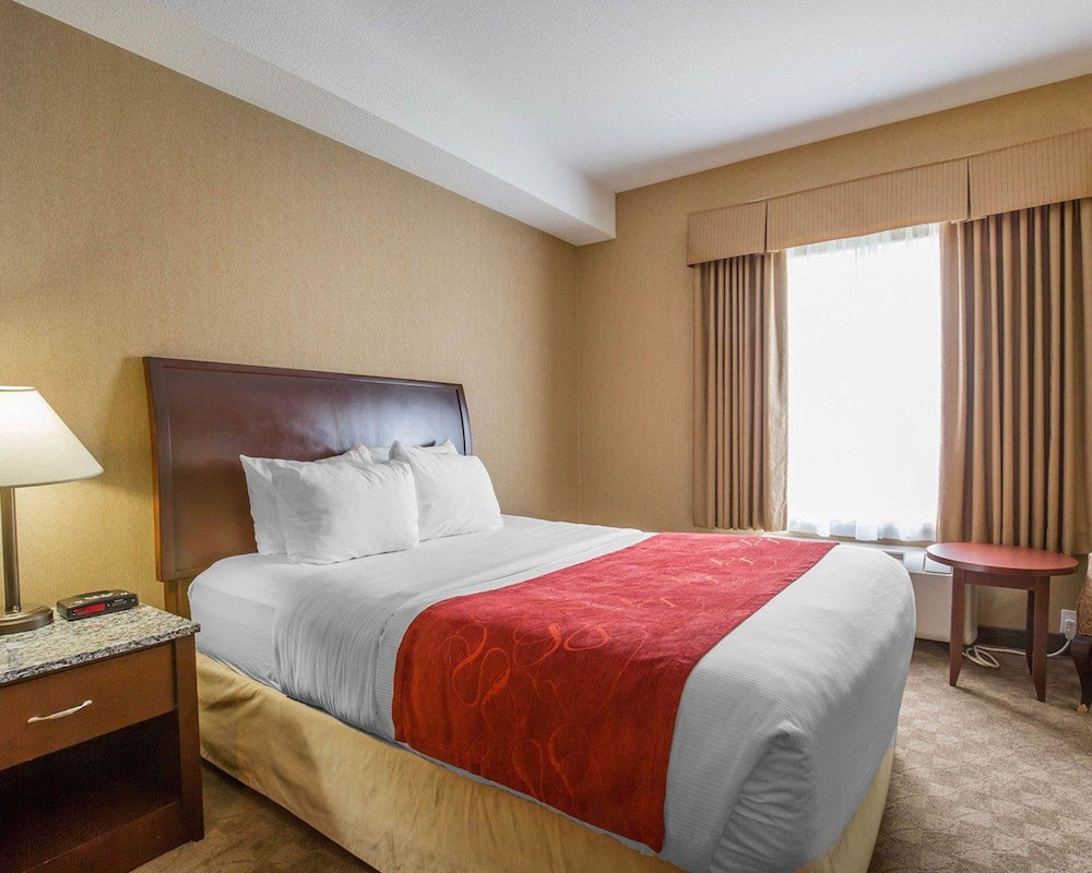 comfort inn and suites airdrie