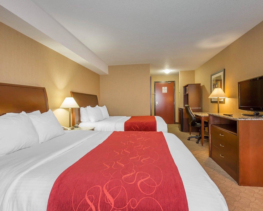 comfort inn and suites airdrie