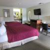thunderbird motel