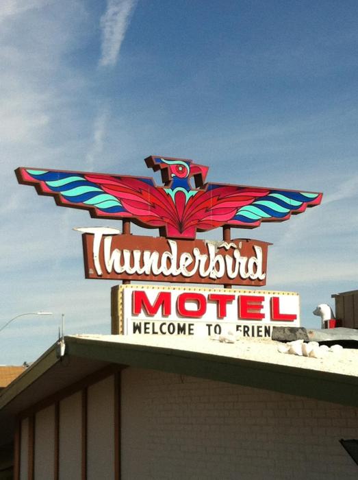 thunderbird motel