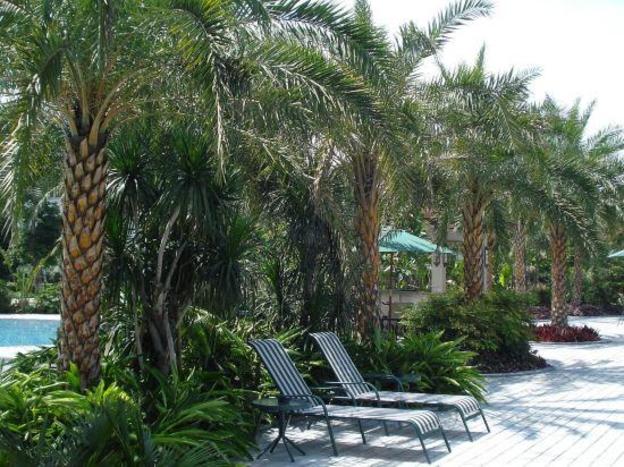 dongguan well garden hotel