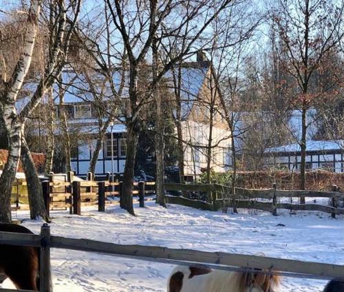 hotel gut moschenhof