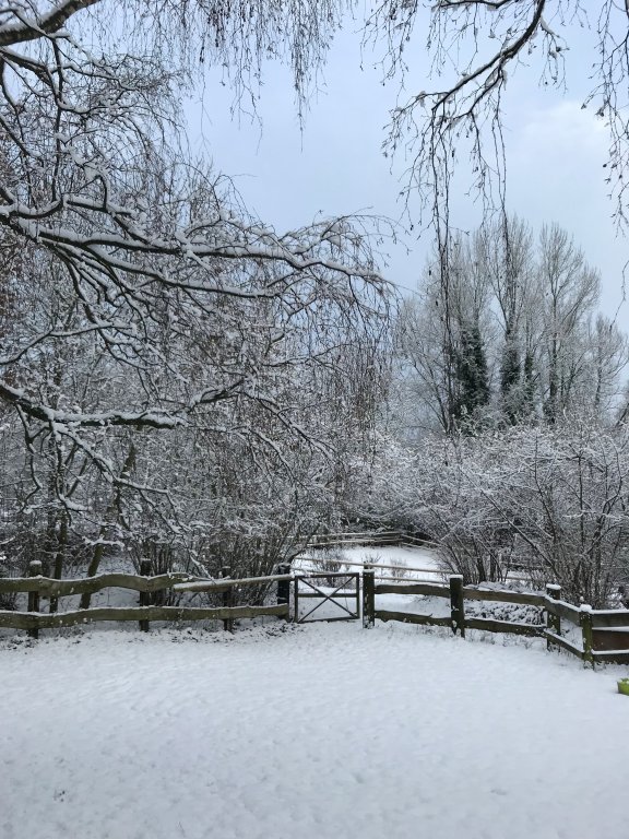 hotel gut moschenhof