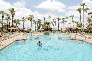 south padre island