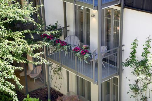 maximilian munich apartments and hotel