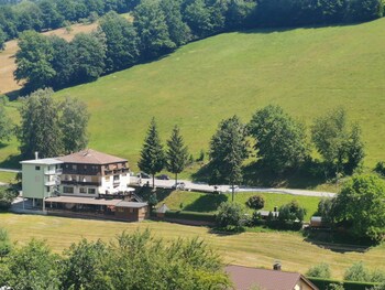 hotel landgasthof gruner baum