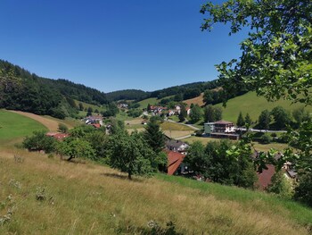 hotel landgasthof gruner baum