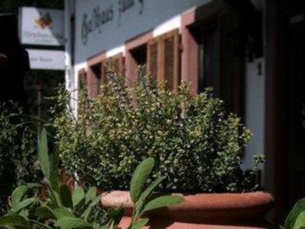 landgasthaus gruner baum