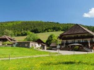 landgasthaus gruner baum