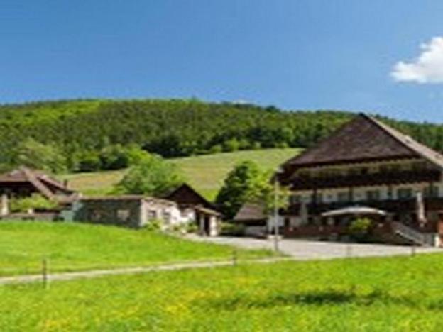 landgasthaus gruner baum