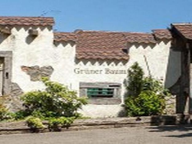 landgasthaus gruner baum
