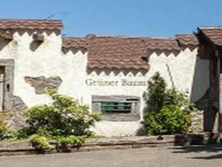 landgasthaus gruner baum
