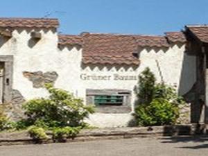 landgasthaus gruner baum