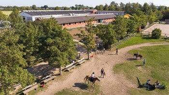 ribnitz damgarten