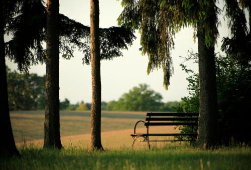 schloss und gut liebenberg