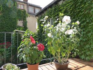boppard