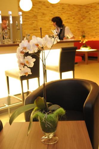 beierleins hotel and catering gmbh