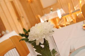 beierleins hotel and catering gmbh