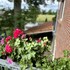 buchholz in der nordheide