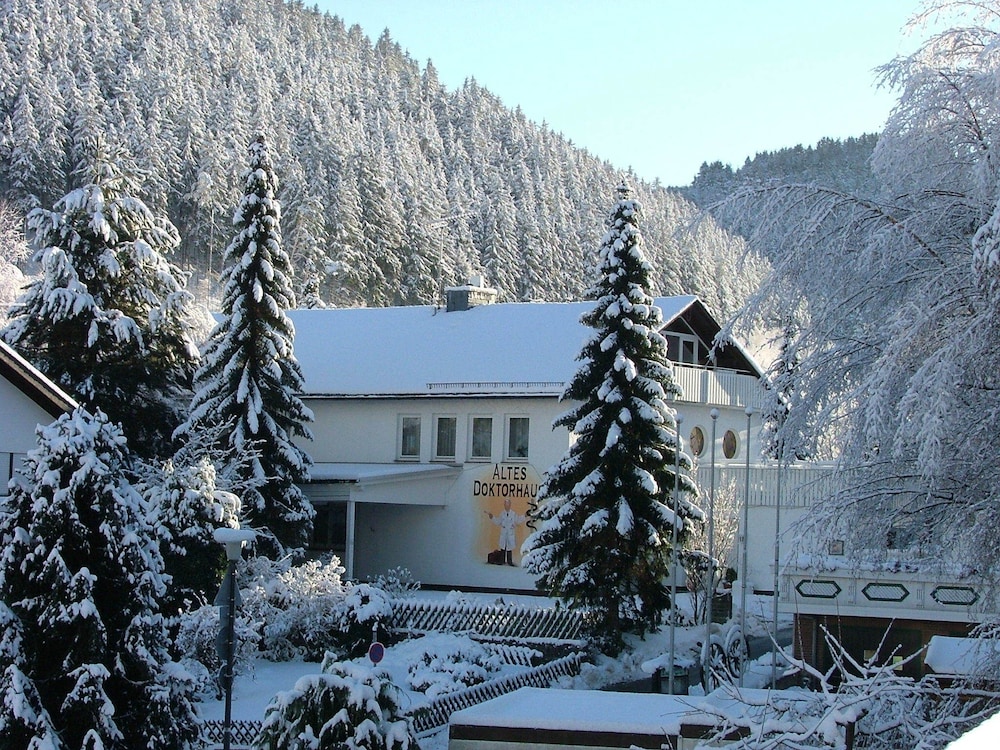 willingen