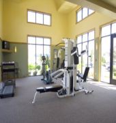 best western windsor inn