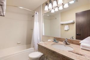 best western windsor inn